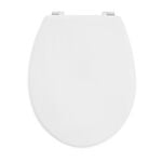 Plain White Toilet Seat