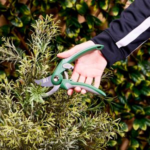 Deluxe Secateur