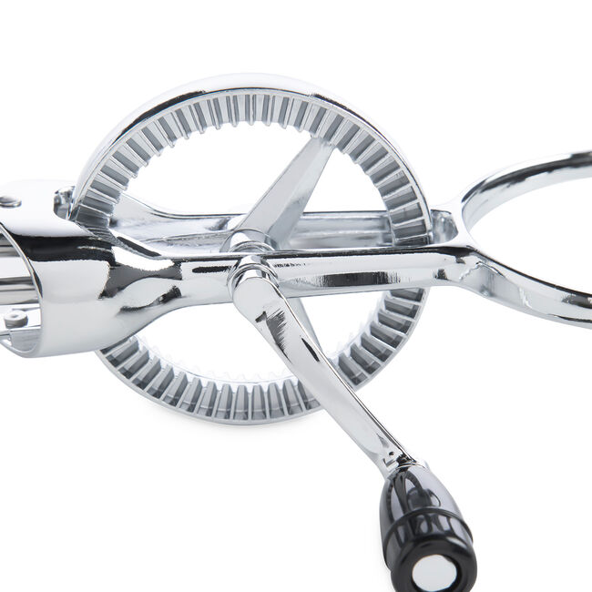 Judge Egg Beater 