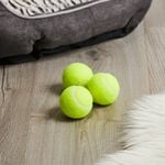 Dog 3 Piece Tennis Ball