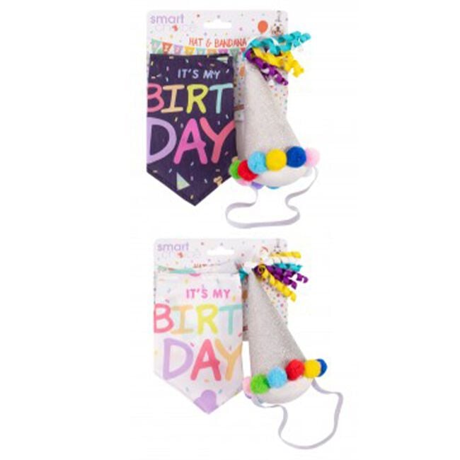 Birthday Bandana & Party Hat for Dogs