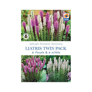 Liatris Twin Pack Purple & White Flower Bulbs