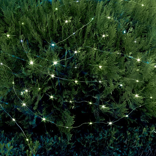 100 LED White Copper String Lights 
