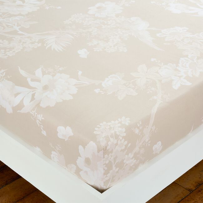 DANAE NATURAL Super King Fitted Sheet 