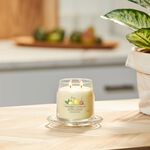 Yankee Candle® Medium Jar - Iced Berry Lemonade