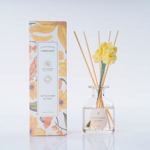 Ambianti Blossom Cactus Flower & Citrus Diffuser