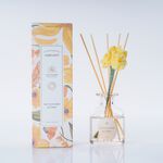 Ambianti Blossom Cactus Flower & Citrus Diffuser