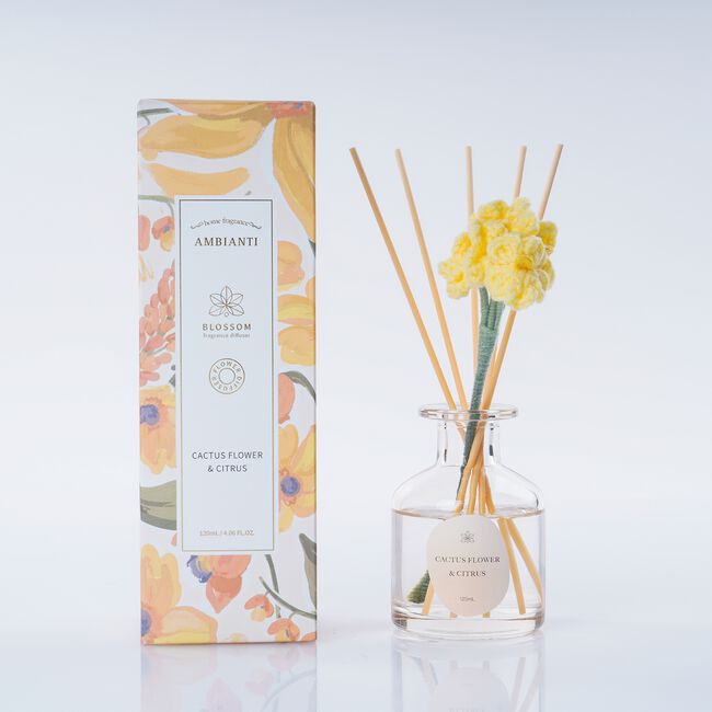 Ambianti Blossom Cactus Flower & Citrus Diffuser