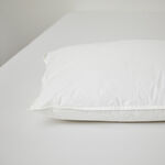 Luxurious Hotel Pillow
