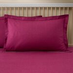 BRUSHED COTTON SIMON BERRY Oxford Pillowcase Pair