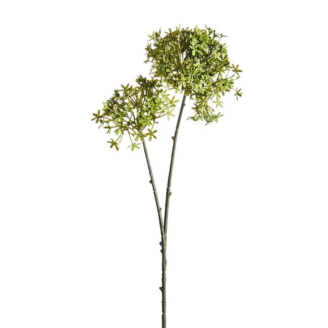 CROWN FLOWER BRANCH Olive 