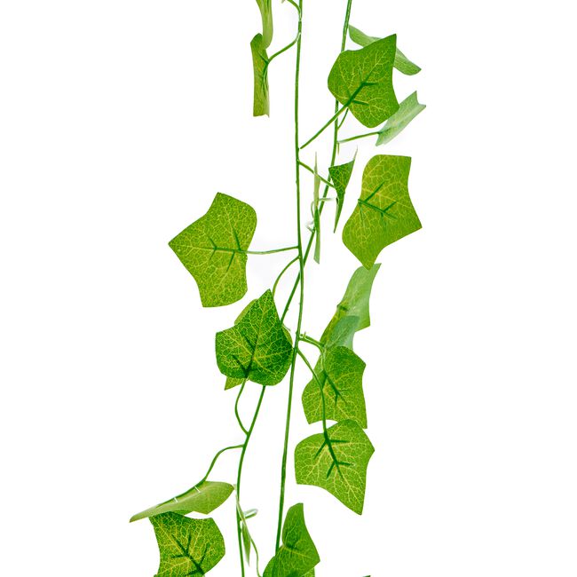 Ivy Creeper Garland 6M
