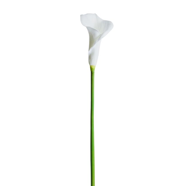 Calla Lily Single Spray White 78cm