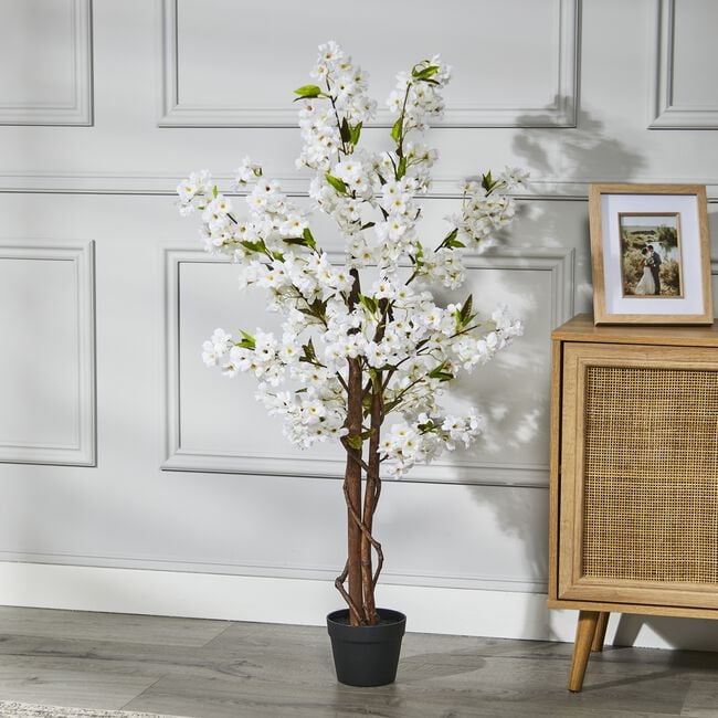 1.2M White Cherry Blossom