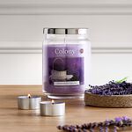 Colony Large Jar Lavender Fields