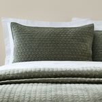 BIANCA ATTICA VELVET GREEN 50x75cm Pillowshams