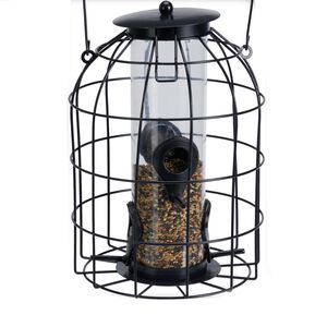 Seed Bird Feeder