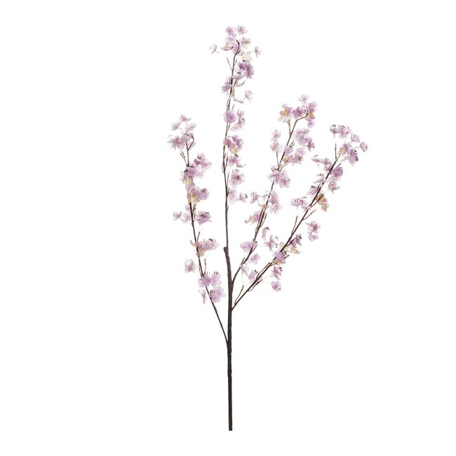 Prunus Purple Flowers Branch - 89cm