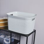 Ezy Mode 25L Open Basket Lily Cream