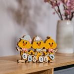 3 Easter Chicken Wooden Decoration
