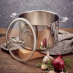 Stellar 24cm 6L Stockpot