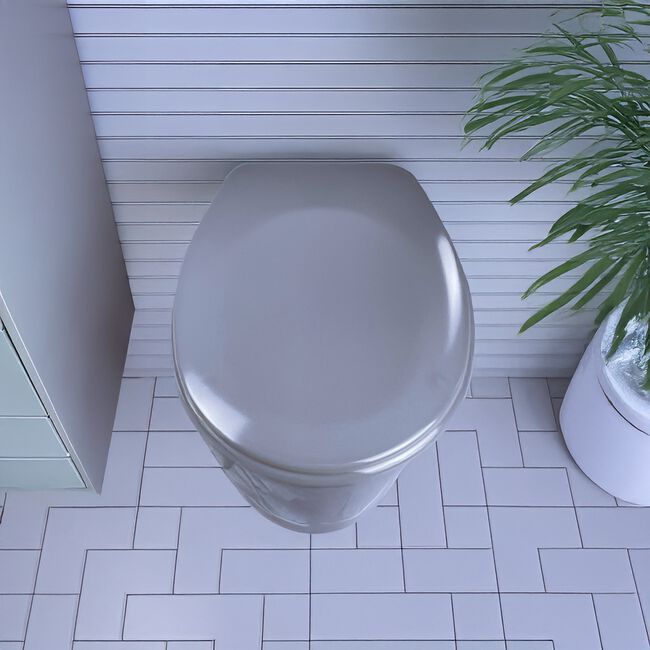 Slow Close Grey Toilet Seat