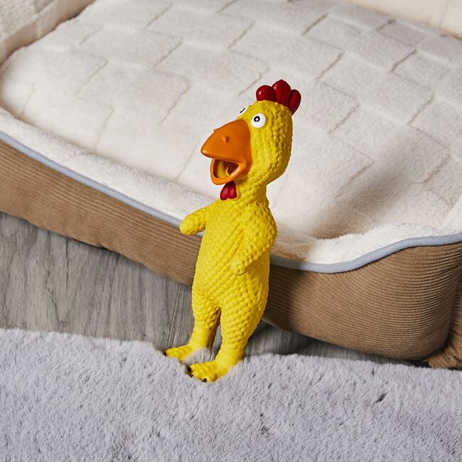Chicken Pet Toy