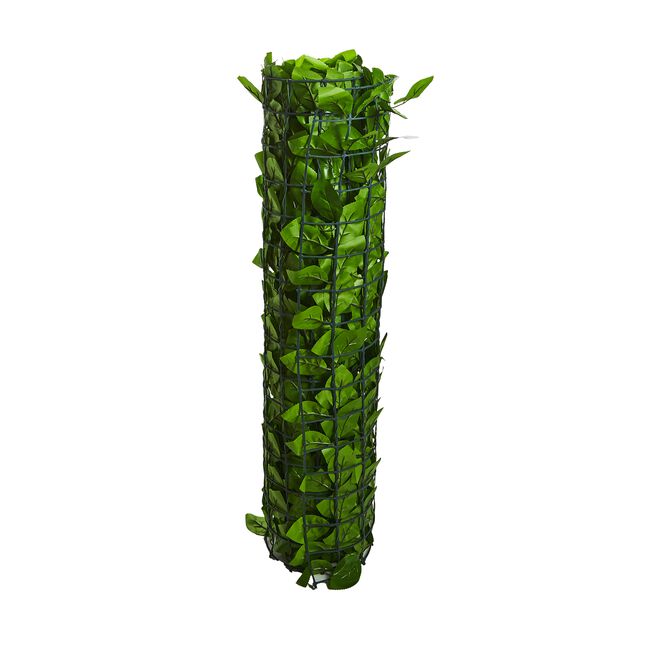 Birch Leaf Trellis 2M x 1M