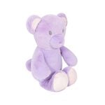 First Steps My First Teddy (Assorted Design)