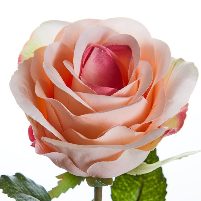 SINGLE ROSE BUD Pink 