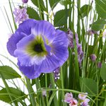 Bloomvibe Iris In Bloom Floral Bouquet