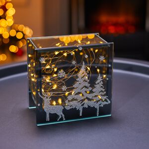 Cashel Living LED Scenery Box