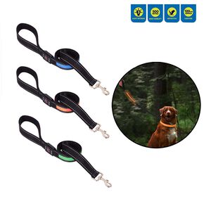 LED Flashing Dog Lead 120m - Assorted