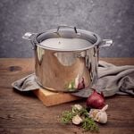 Stellar 26cm 8L Stockpot