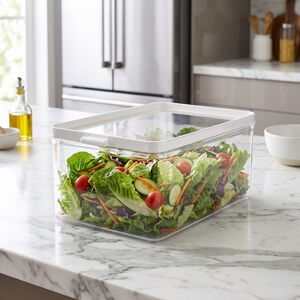 Felli Vision 4.7L Fridge Storage Box