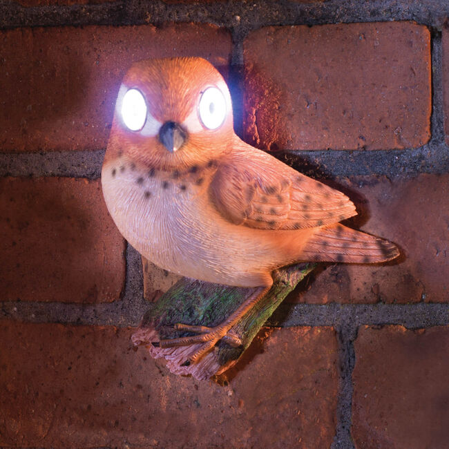 Bright Eye Bird Solar Light