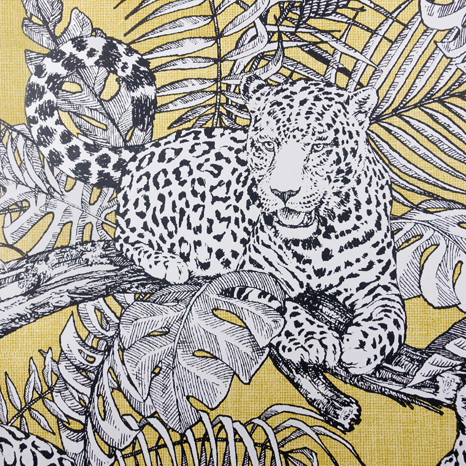 Muriva Mamboa Wallpaper Sample Sheet Home Store More