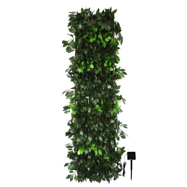 Solar Rose Leaf Trellis 2M X 1M