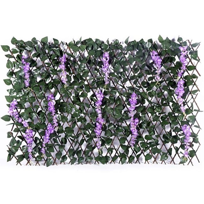 2m x 1m Wisteria Trellis