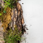 Sophie Conran 200ml Strength Reed Diffuser