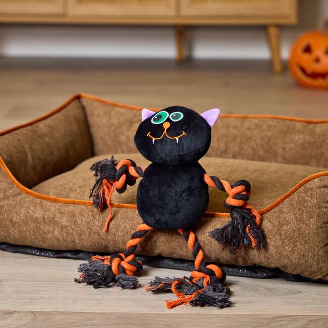 Halloween Cat Plush & Rope Toy