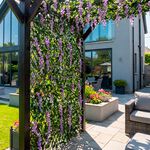 2M x 1M Wisteria Trellis
