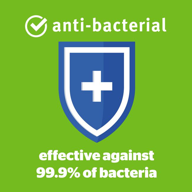 Silentnight Anti-Allergy Pillow Pair