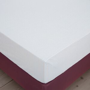 WILL Double Fitted Sheet