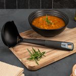 Prestige Ladle