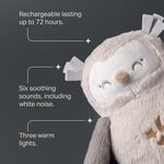 Tommee Tippee Ollie Owl Deluxe Baby Sleep Aid