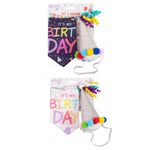 Birthday Bandana & Party Hat for Dogs - Assorted