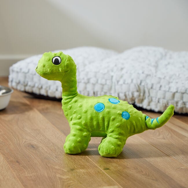 Smart Choice Plush Dinosaur Dog Toy - Assorted
