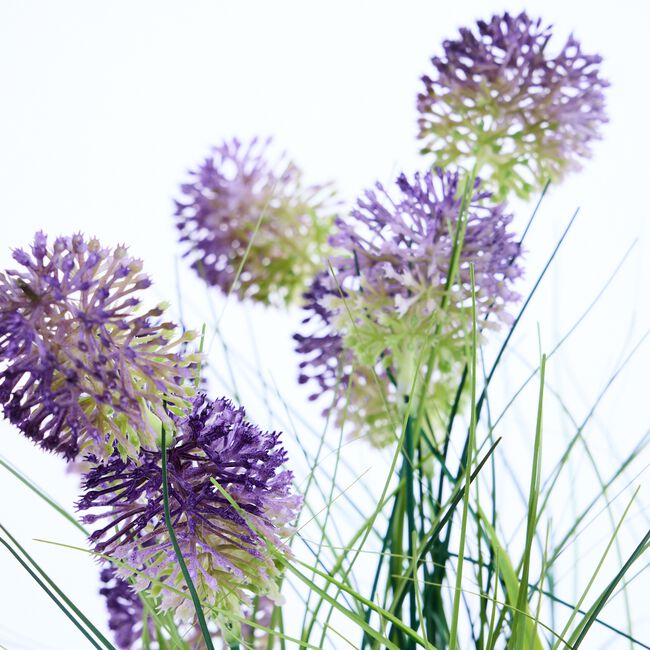 50CM Purple Onion Ball In Jute Bag