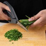 Zyliss Household Scissors 